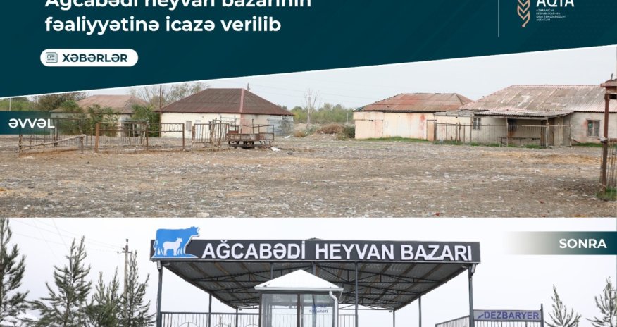 Ağcabədi heyvan bazarının fəaliyyətinə icazə verilib