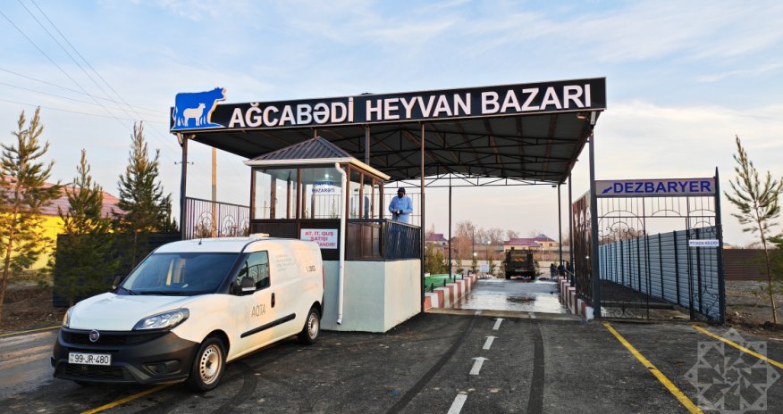 Ağcabədidə heyvan satışı bazarı fəaliyyətə başlayıb