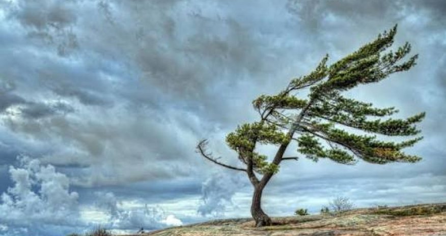 Küləkli hava ilə bağlı xəbərdarlıq edilib
