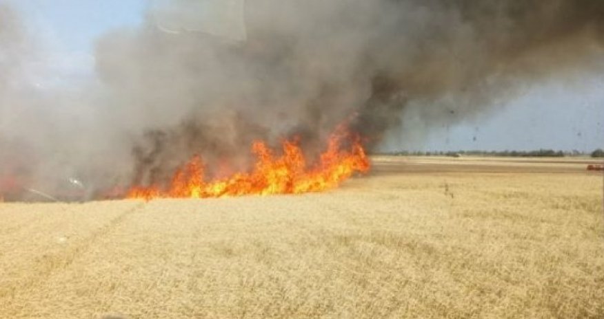 
Əkin yerinin yandırılmasına görəyeni cərimələr tətbiq olunub