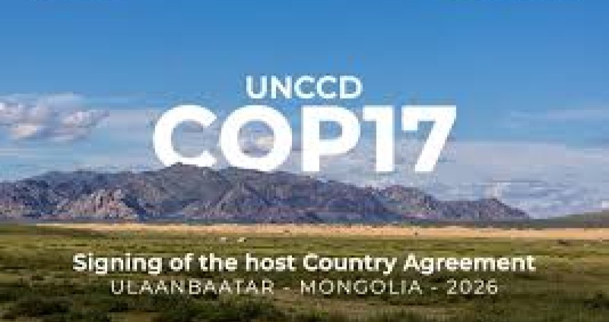 В Армении ждут делегацию Азербайджана на COP17 в 2026 году