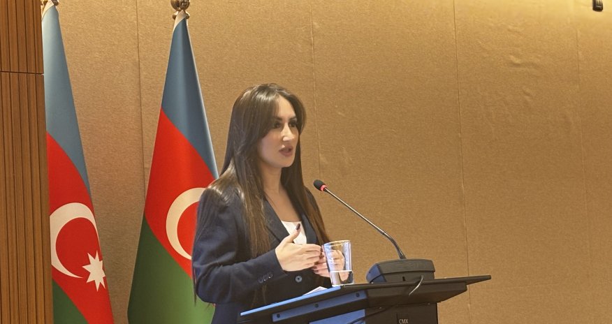 Sənədsiz tikililərin sayı açıqlanıb