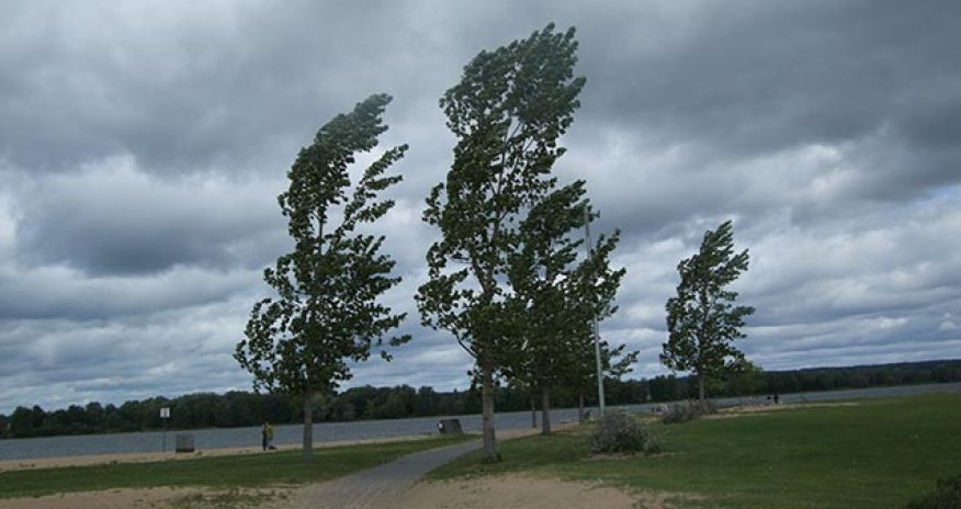 Küləklə bağlı sarı xəbərdarlıq edilib