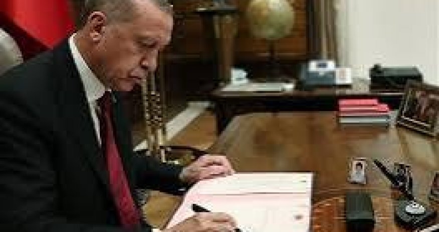 Эрдоган назначил себе главного советника