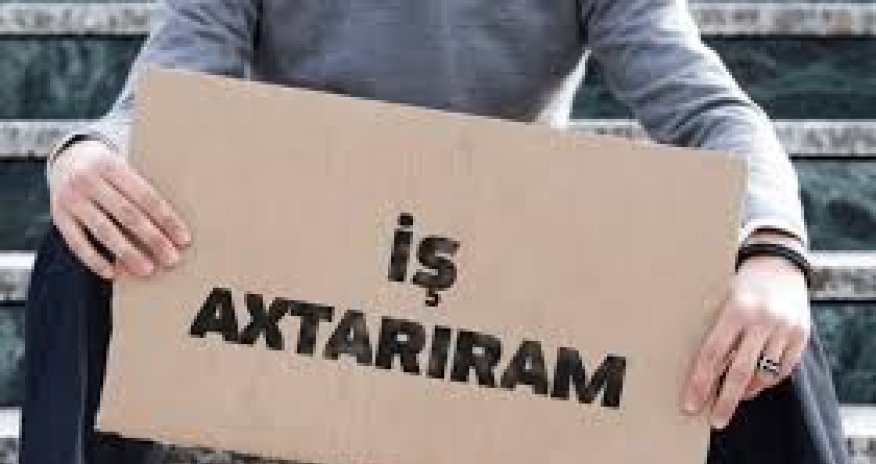 Deputat bu qədər işsizin dövlət üçün risk yarada biləcəyini açıqlayıb/Video