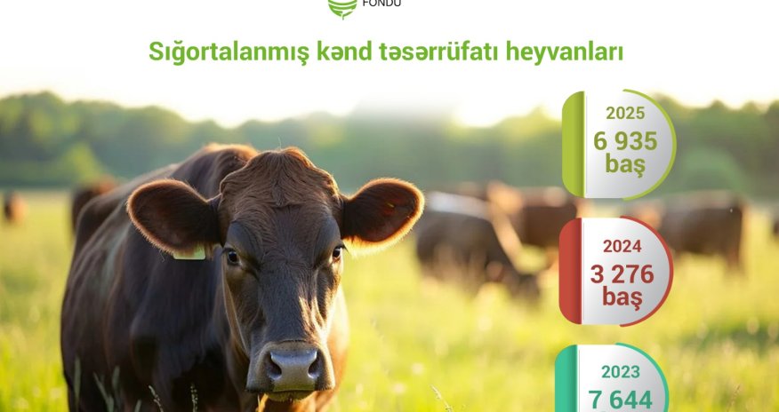 Insured livestock in Azerbaijan more than doubles in 2025