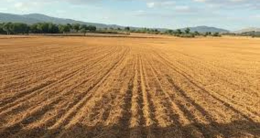 Torpaqların idarə olunmasında pozuntular aşkar olunub