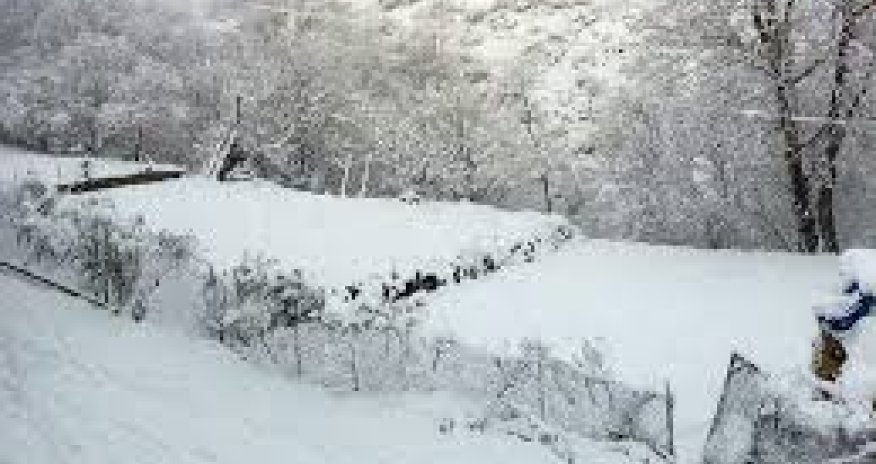 Bəzi rayonlara qar yağır - Faktiki hava