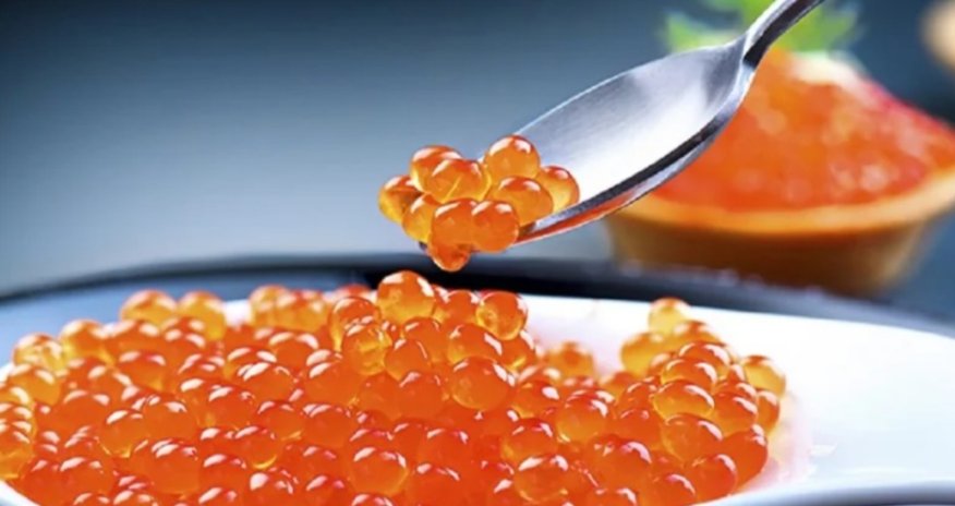 Azərbaycan Avstraliyadan kürü əvəzediciləri almağa başlayıb