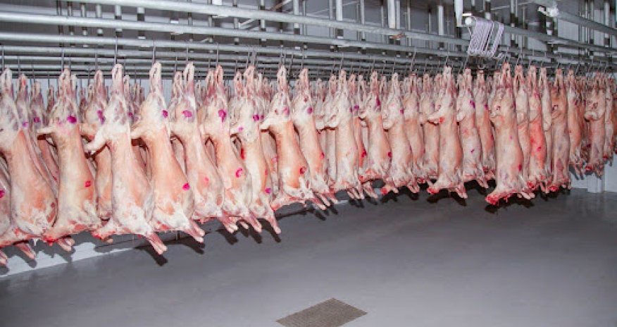 Azerbaijan boosts imports of Mongolian lamb