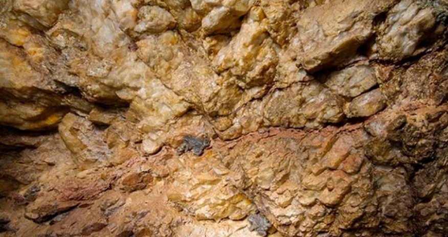 Qeyri-filiz yataqların istismarı ilə bağlı yeni qaydalar hazırlanacaq