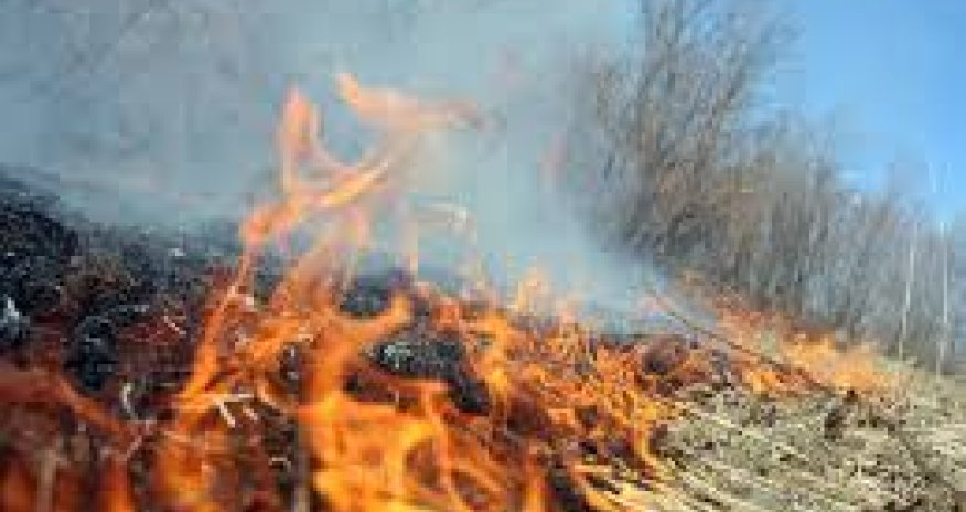 Cocuq Mərcanlı yaxınlığında açıq ərazidə yanğın baş verib