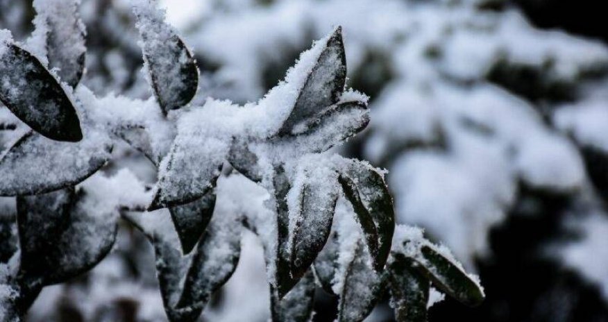 Dağlıq ərazilərdə qar yağacaq - Xəbərdarlıq