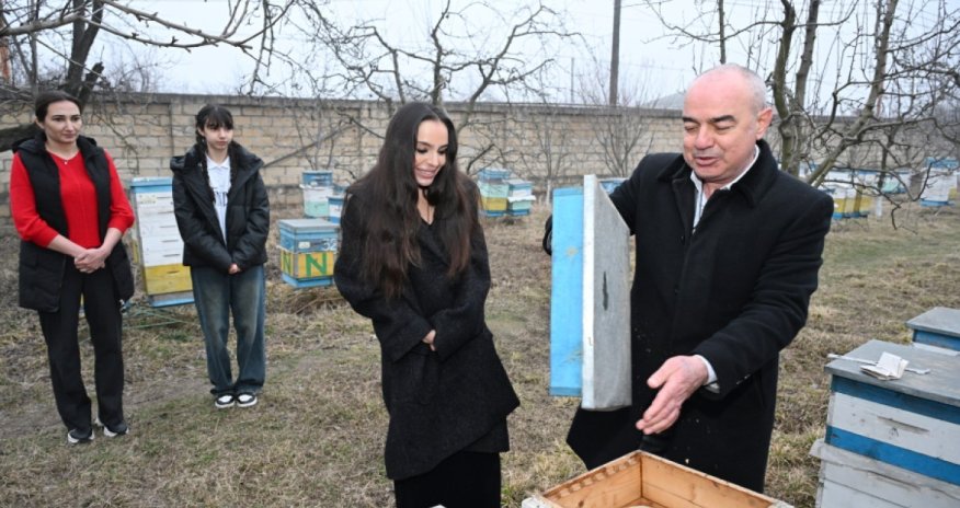 Лейла Алиева побывала в гостях у семьи пчеловода в Губе