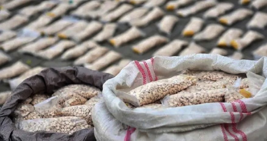 Azerbaijan seizes 11.5 tonnes of narcotics in 2025