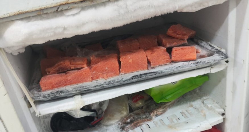 Bakıda suşi emalı müəssisəsinin fəaliyyəti müvəqqəti dayandırılıb