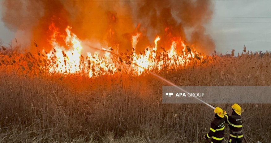 Ucarda açıq ərazidə yanğın olub