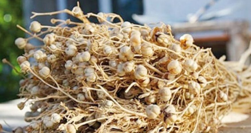 Üzərliklə bağlı daha bir qurumdan xəbərdarlıq