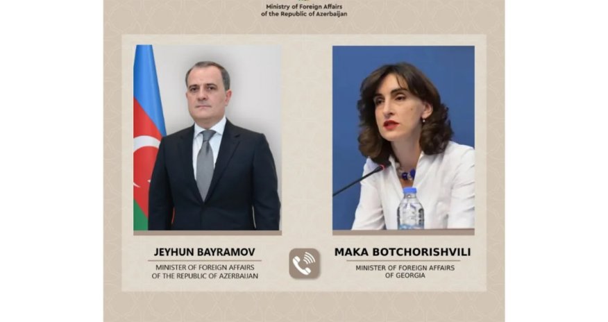 Gürcüstan XİN rəhbəri: İranın Naxçıvana dron hücumundan narahatıq