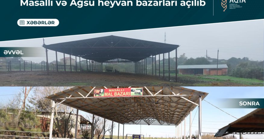 Masallı və Ağsuda heyvan bazarları açılıb