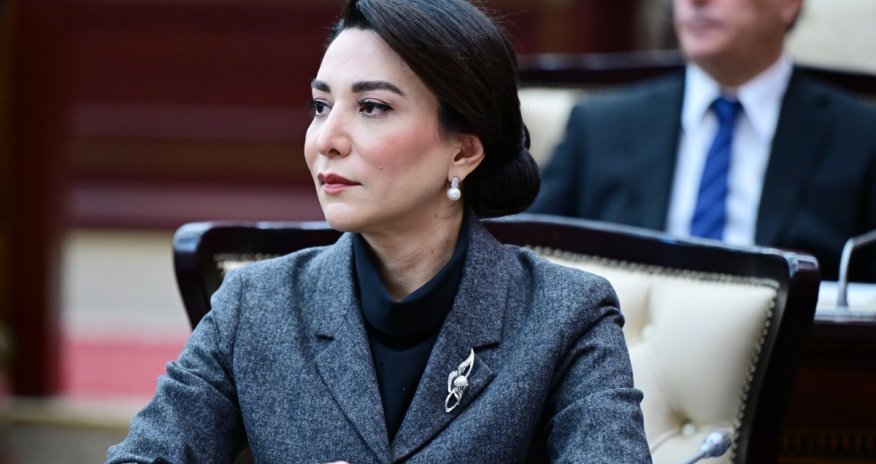 Заявление Сабины Алиевой в связи с атакой на Нахчыван