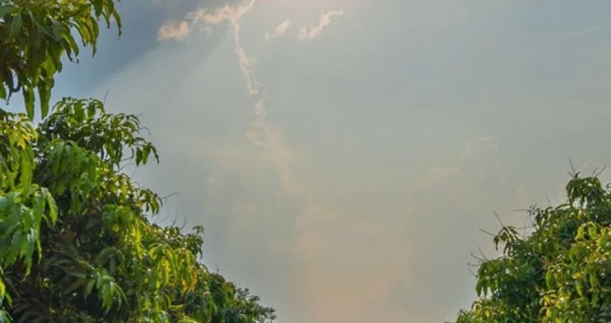 Azərbaycanda qeyri-sabit hava şəraiti aqrar sığorta müraciətlərini artırıb