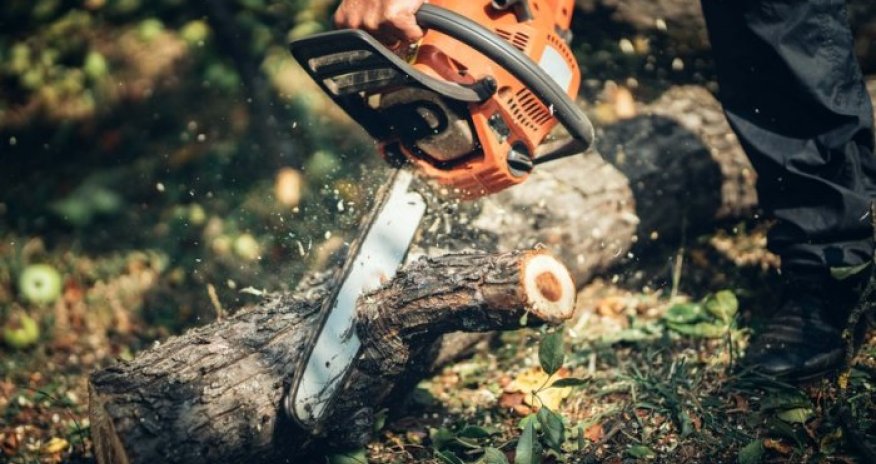 Son 1 həftədə təbiətə 73 mindən çox ziyan vurulub