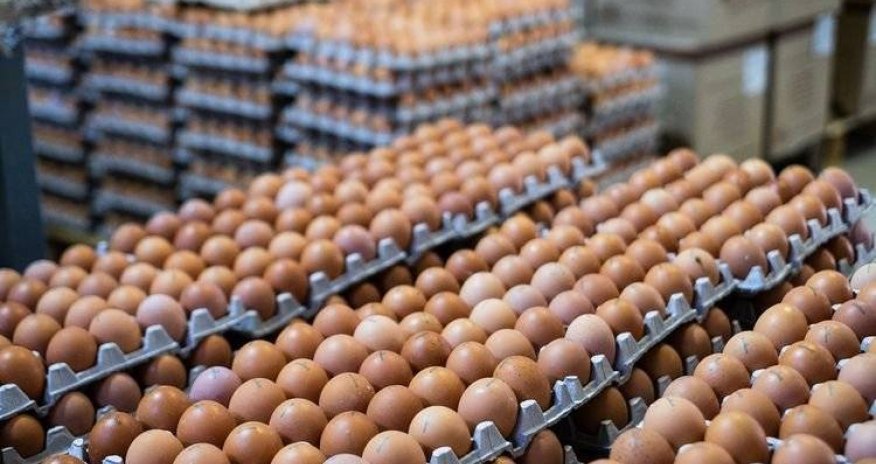 Azərbaycan ilin əvvəlindən yumurta ixrac etməyib, göndərişlər apreldən bərpa oluna bilər

