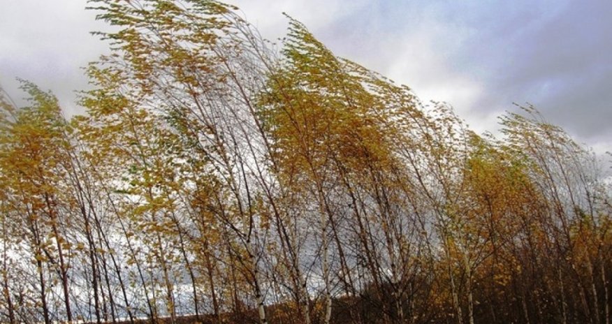 Желтое предупреждение от синоптиков