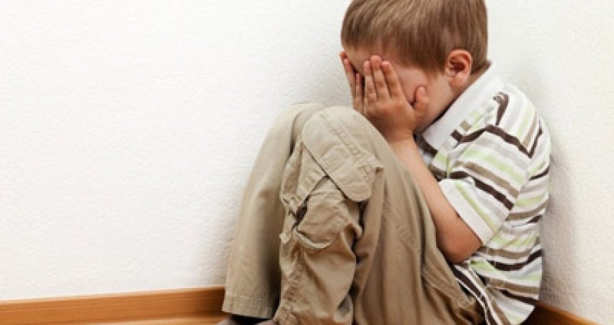 Deputat irad bildirdi: bu çox təhlükəli qanundur