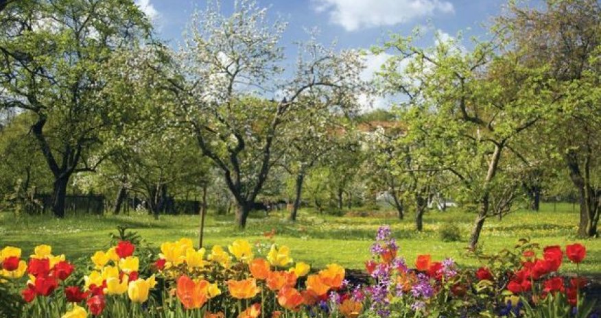 Azərbaycana yaz gəldi