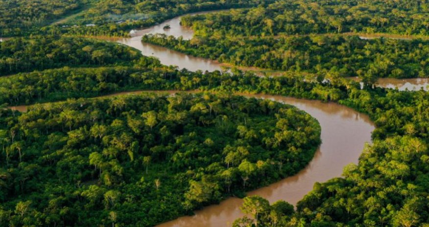 21 марта &ndash; Международный день лесов: человечество теряет леса каждую секунду
