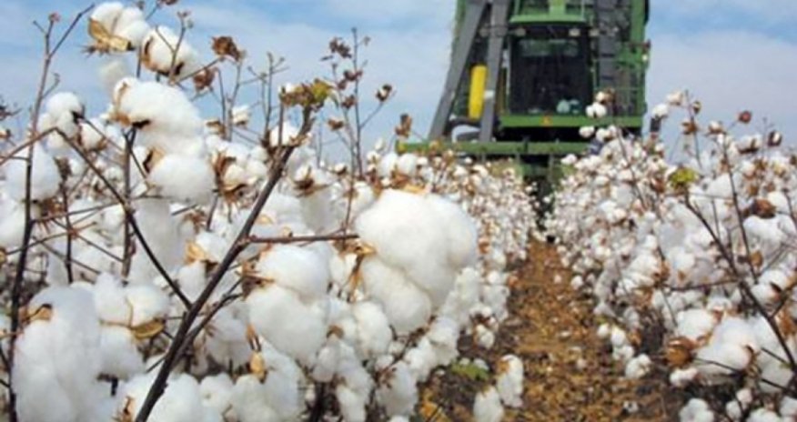 Производство хлопчатобумажной пряжи в Азербайджане выросло на 63,3%