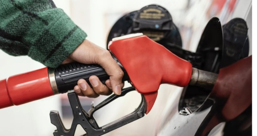 В Словении проверят компанию Petrol из-за задержек поставок топлива