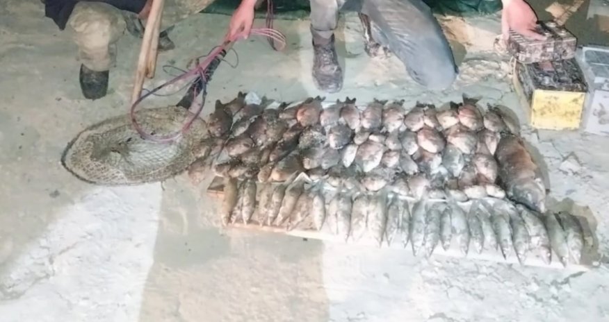 
Kür çayında tok aparatı ilə qanunsuz balıq ovlayan 3 nəfər saxlanılıb