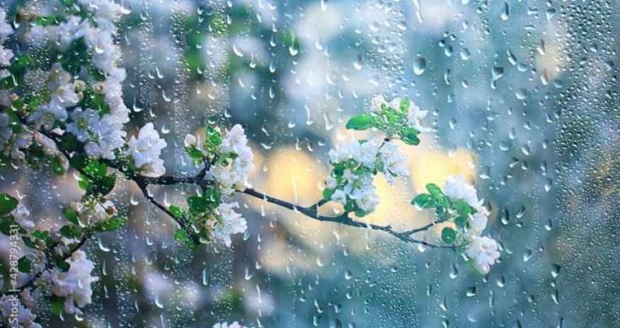 Sabahın hava proqnozu