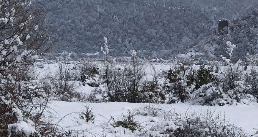 Şahdağ və Qrıza qar yağır - FAKTİKİ HAVA - YENİLƏNİB