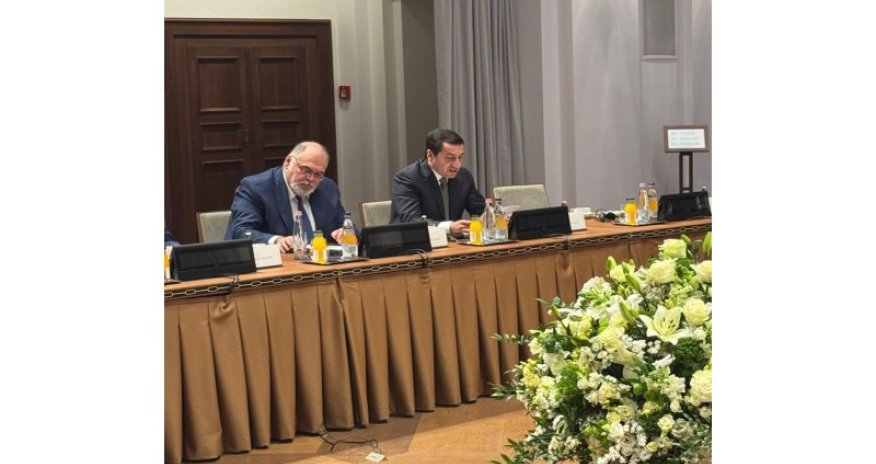 Hikmət Hacıyev TDT ölkələri rəhbərlərinin köməkçilərinin görüşündə iştirak edib