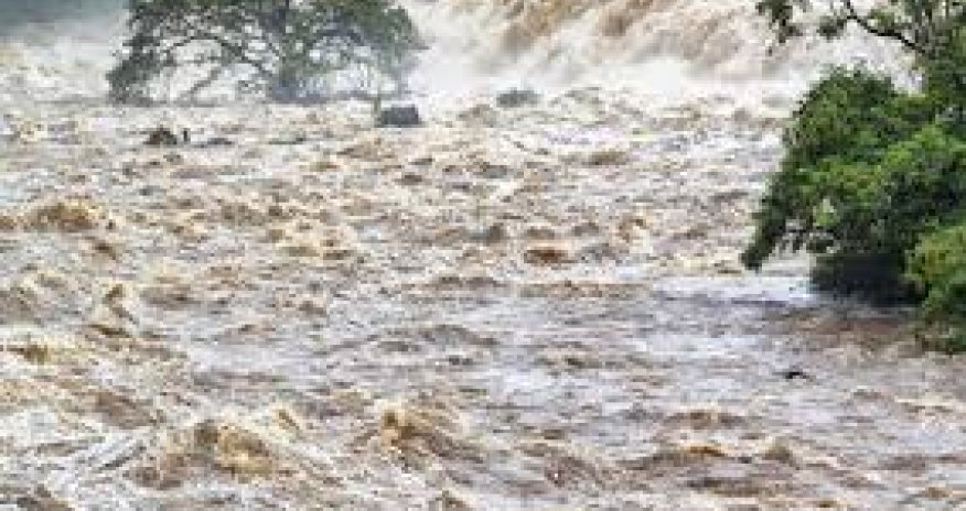 ADSEA: В большинстве рек Азербайджана зафиксирован подъем уровня воды после ливней