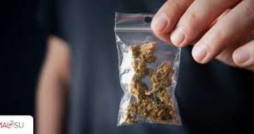 Azerbaijan seizes large quantities of narcotics at Astara border post
