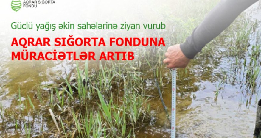 Güclü yağış və daşqınlar minlərlə hektar əkin sahəsinə ziyan vurub