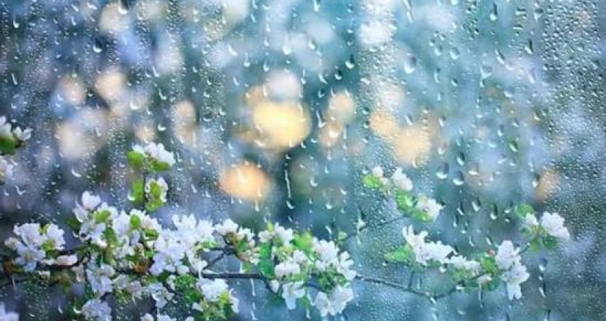 Первая декада апреля в Азербайджане пройдет с дождями, грозами и градом