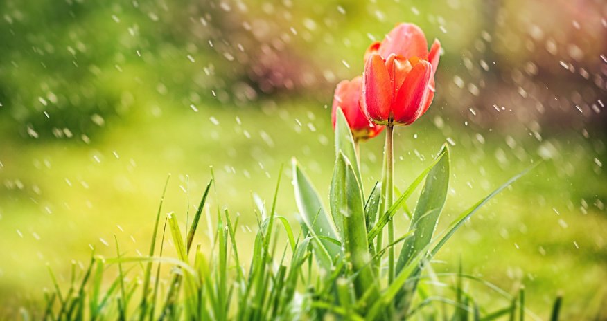 Faktiki hava açıqlanıb