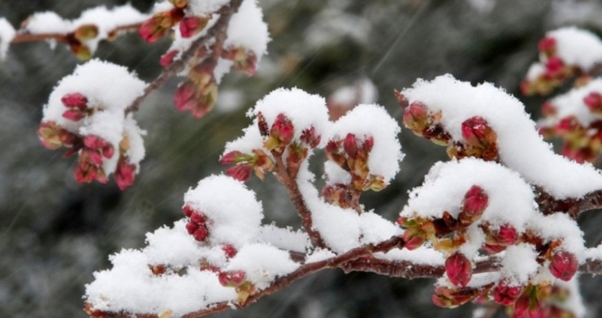 Dağlıq ərazilərə qar yağır - FAKTİKİ HAVA - YENİLƏNİB