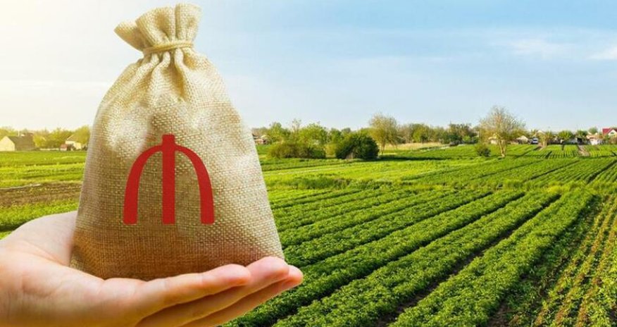 В Фонд агрострахования поступило около 300 обращений в связи с дождями