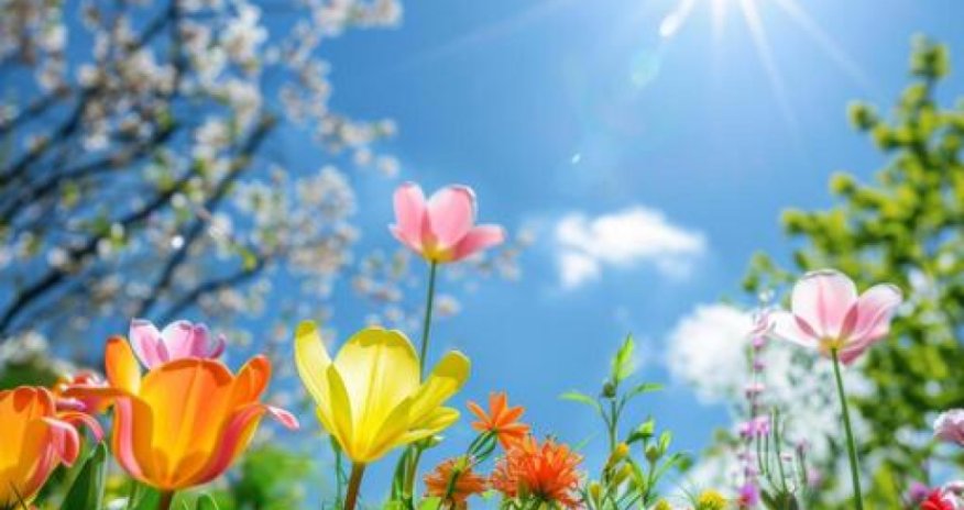 Sabahın hava proqnozu açıqlanıb