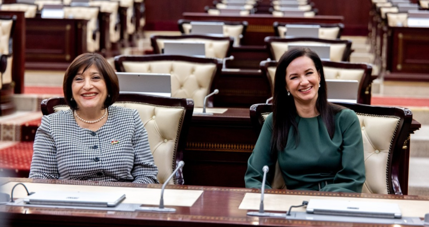 Milli Məclisin sədri Litva Baş naziri ilə görüşüb