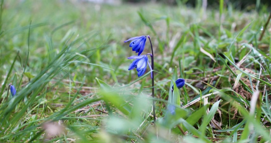 Sabahın hava proqnozu açıqlanıb