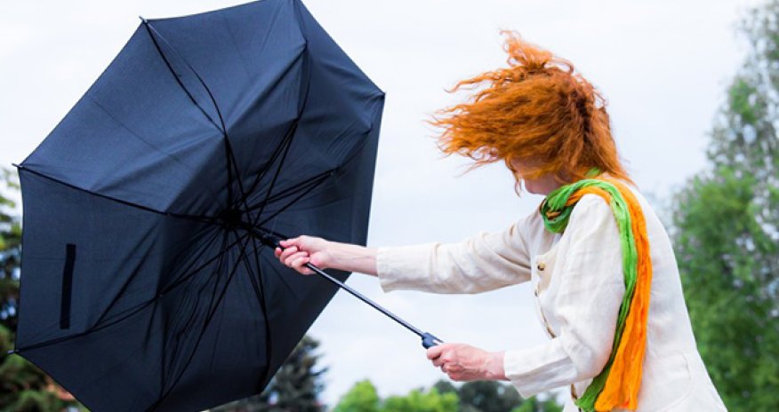 Синоптики предупреждают о сильном ветре