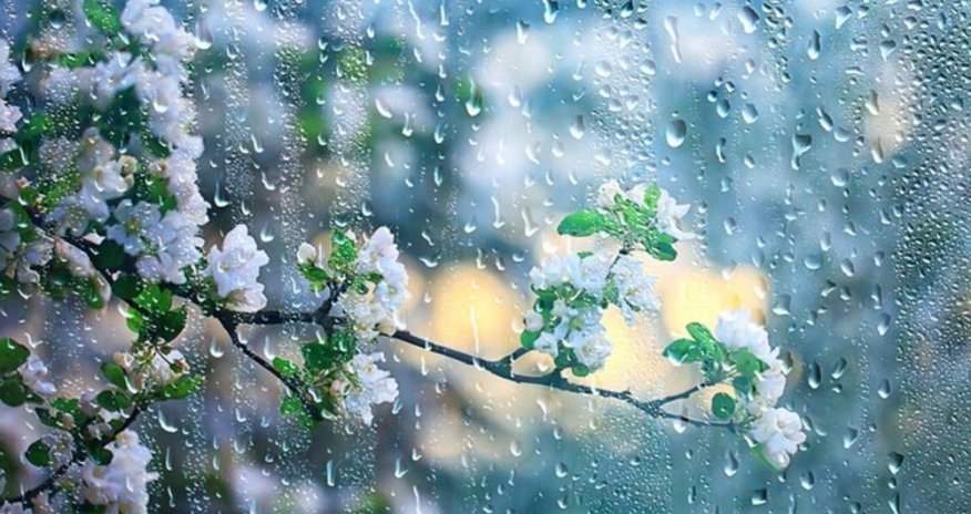 Bəzi rayonlara yağış, Şahdağa qar yağır - FAKTİKİ HAVA